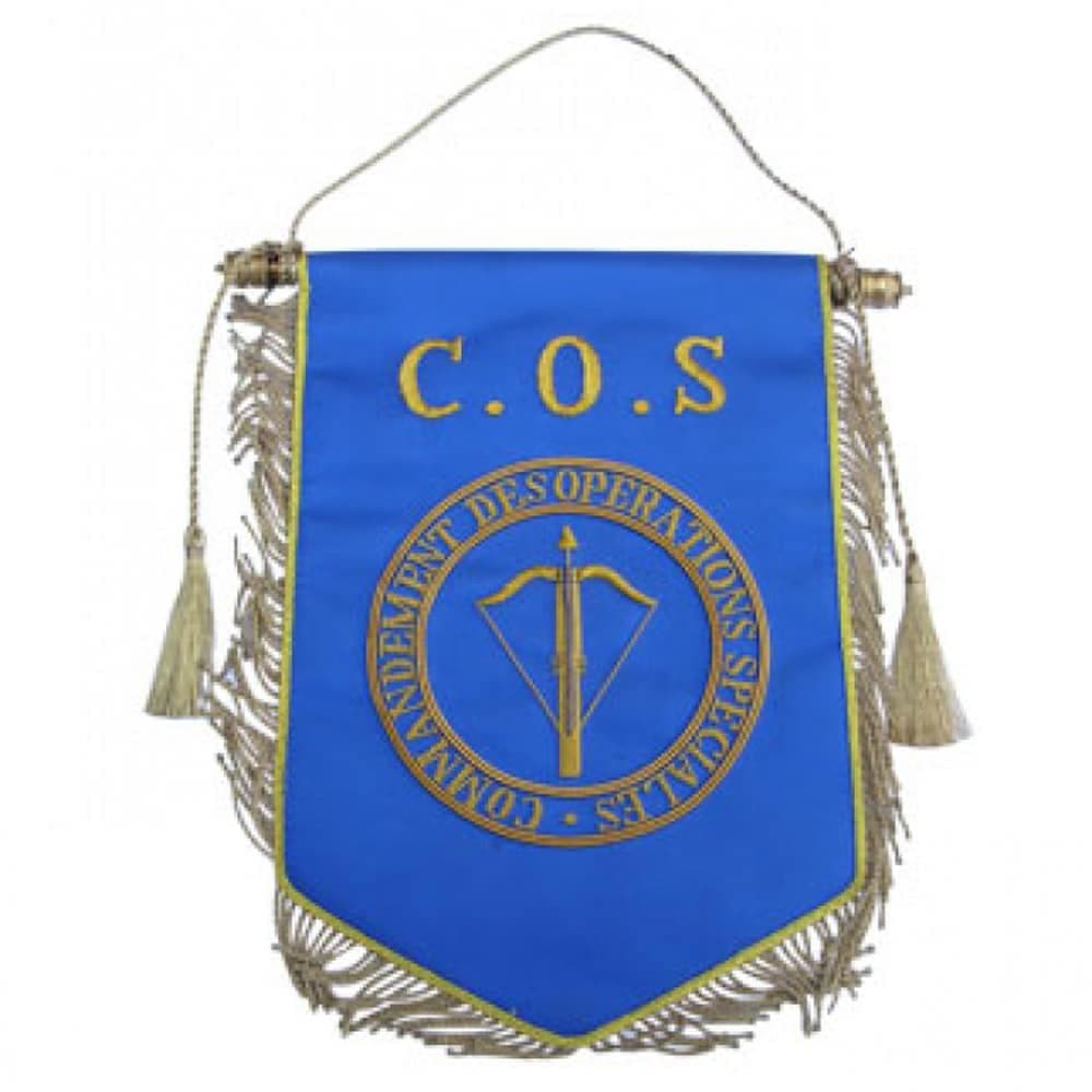 Custom Blue Emblem Sports Pennant